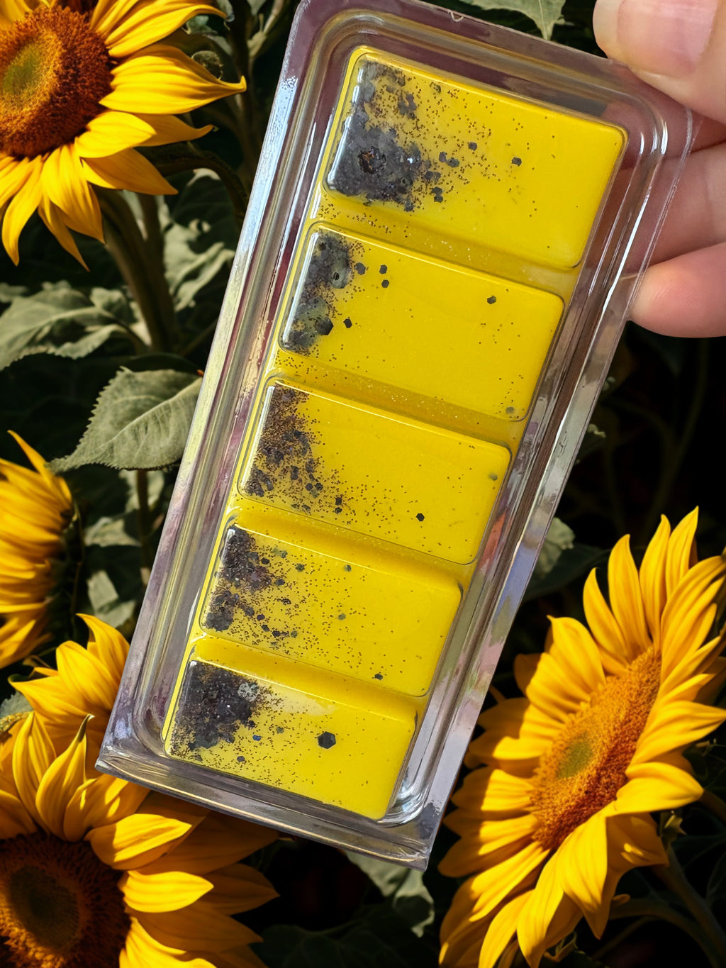 Scarlet Sunflower Snapbar