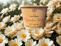 Tallywacker Scoopies