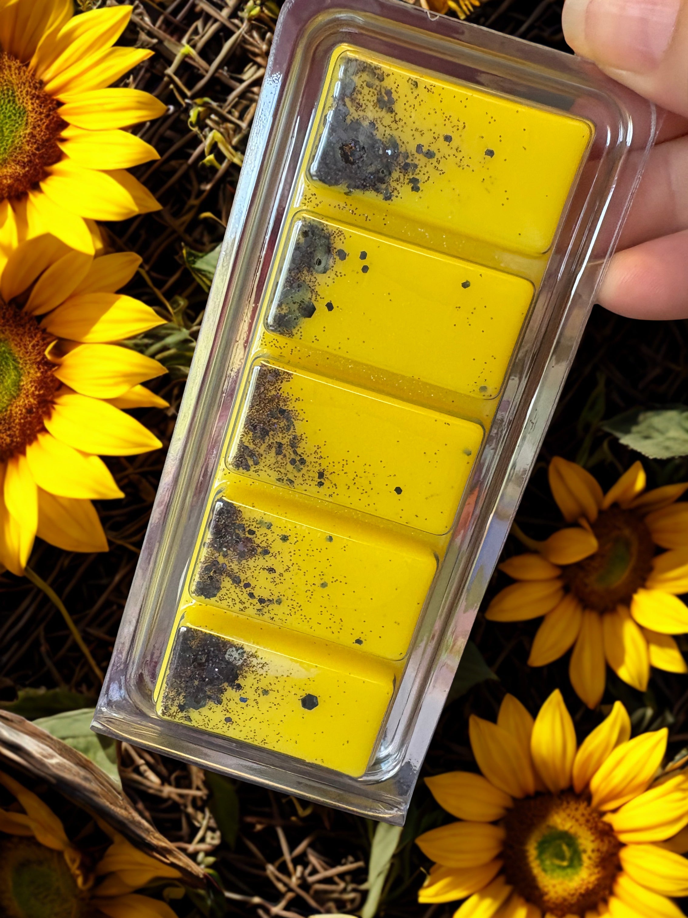 Scarlet Sunflower Snapbar