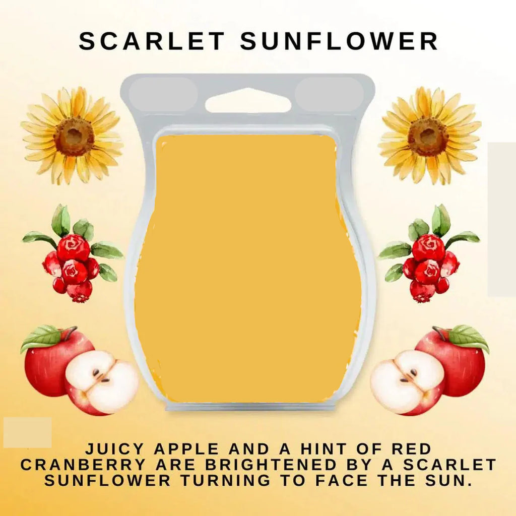 Scarlet Sunflower Wax Melt Teddy