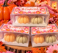 Whiff Of Wonder The Pumpkin Patch box with two pumpkin-shaped wax melts and pink autumn label