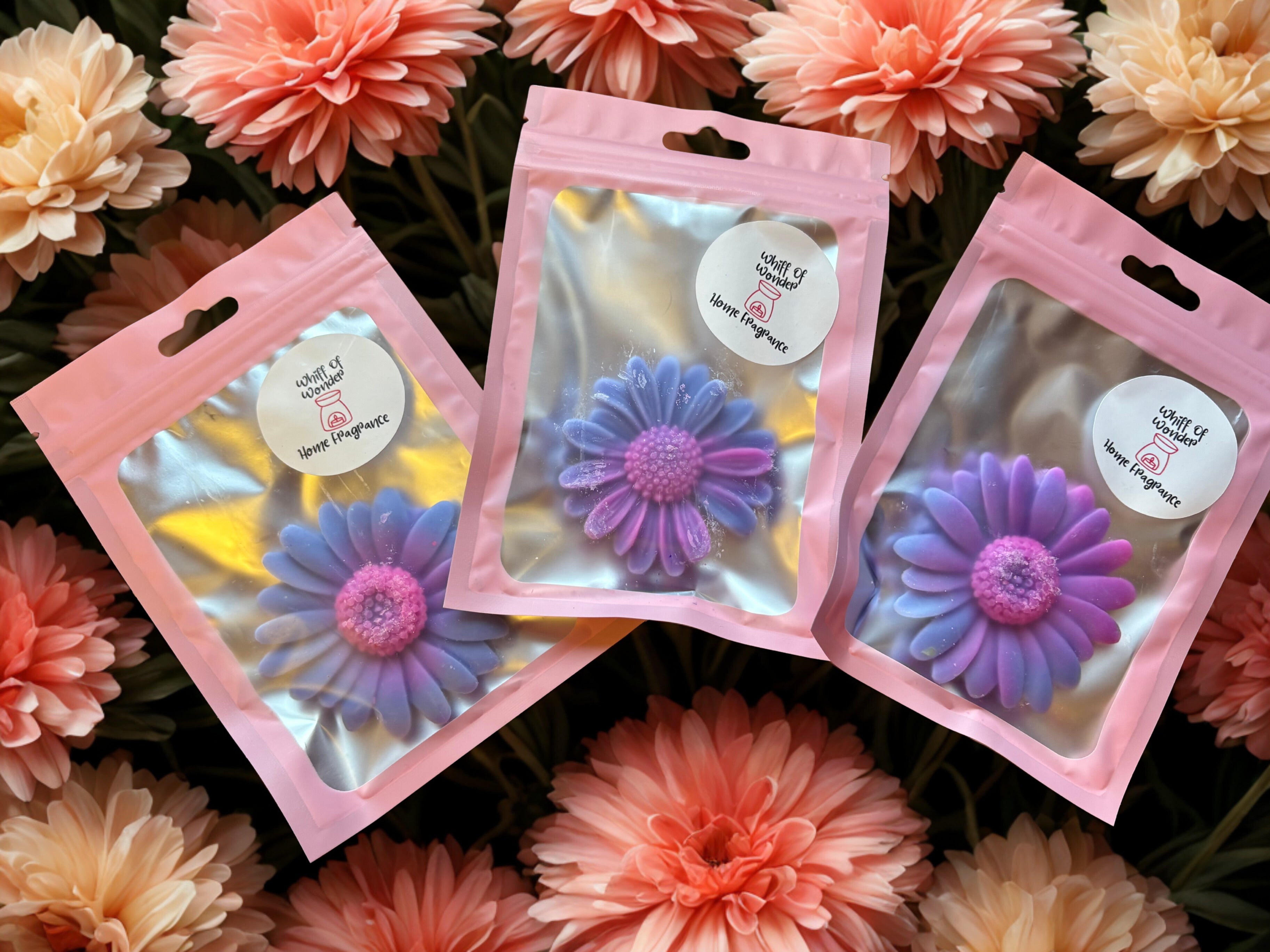 Rose Wonderland Daisy Wax Melts