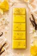 Lenora Daffodil & Vanilla Snapbar